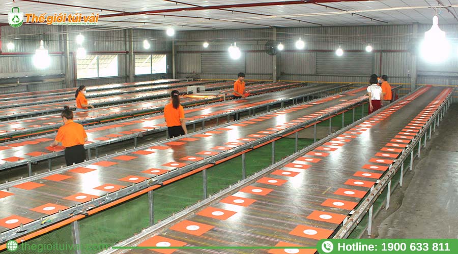 Quy trình sản xuất tuân thủ tiêu chuẩn chất lượng toàn cầu